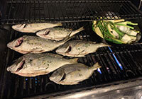 Shay's Grilled Porgy